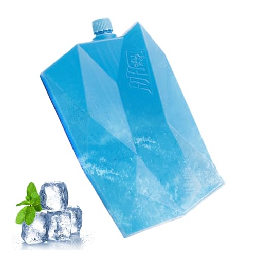 Bolsas de Hielo para Fiambreras | Caja de de Hielo Portátil para Enfriador de Aire,Bloques Congelables Reutilizables para Comida Bebidas Pescado Playa Picnic Escuela Viaje Acampada y