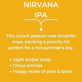 Nirvana IPA (12 X 330ml Bottles) 0.5% ABV | Alcohol Free Beer | Zesty Grapefruit Cascade Hops | Natural Carbonation | Low Calorie, 33 Calories Per Serving | Vegan | Non Alcoholic Premium Craft IPA | – Nirvana Brewery