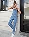GRAPENT Women's Denim Work Overalls - Blue Mist, Medium (Size 8/10), Baggy, Cute, Summer 2024