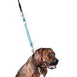 Furhaven Pet Accessory for Dogs and Cats - 1,000-ft High-Visibility Water-Resistant Bright LED Dog...