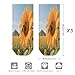 VstaDank Bee on A Sunflower Ankle Socks 5 Pairs Fashion Invisible Low Cut Sock for Adult Casual Short Sock Soft Cozy No Show Socks