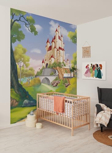 Cuadro de Princesas Disney de 60x40 cm, lienzo infantil con bastidor multicolor 2