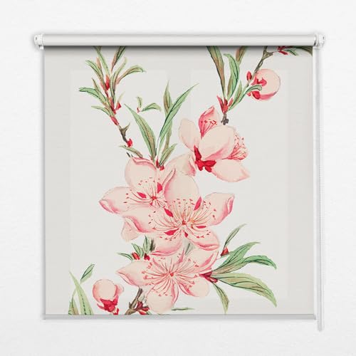 Store enrouleur perméable 50x50 fleur rose store tamisant sans vis