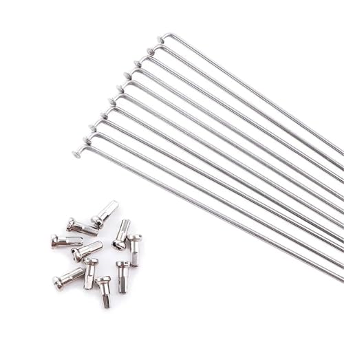 JIAOQSS 10 radios de bicicleta de 14 G con pezones de acero inoxidable de alta resistencia para radios de bicicleta (300 mm)
