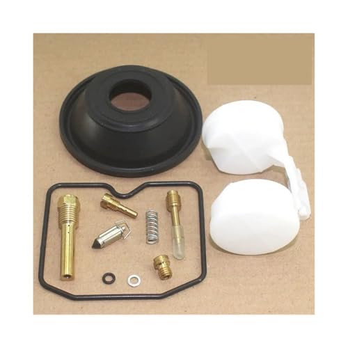 Kit de réparation de carburateur pour moto EL250 de 1988 à 1996 avec membrane et flotteur