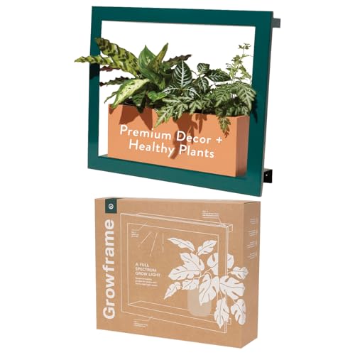 Modern Sprout Smart Growframe Wall LED Grow Light