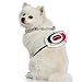 Littlearth NHL Pet Fan Chain Carolina Hurricanes