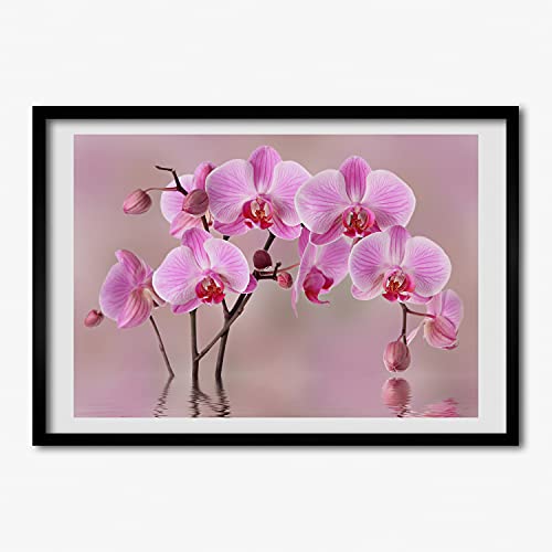Cadre MDF Peinture 70x50 cm Orchidee Rose Tulup pour Tableau Moderne