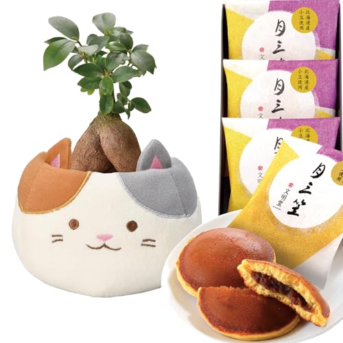 Ԃ̃Mtg ǂĂ aَq XC[c KW}̖ K̖ OєL oXPbg ϗtA