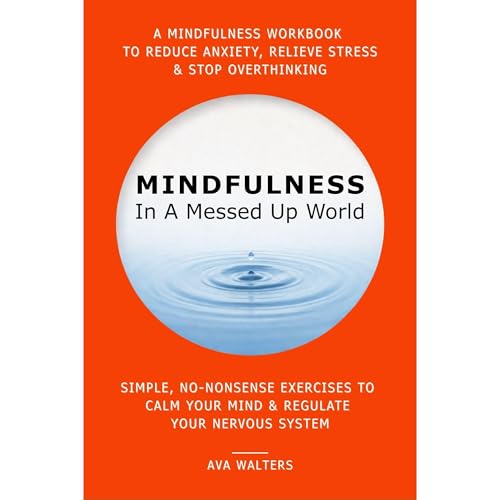 MINDFULNESS In A Messed Up World