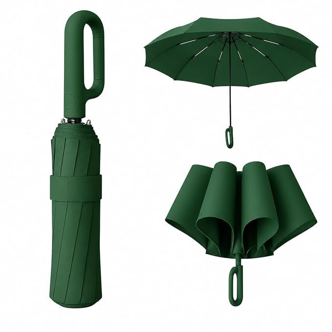 Image of LANBRELLA Portable & Folding Travel Umbrella, 3 Fold, Auto Open Close, Water Resistant, Windproof, with Carrying Handle