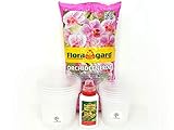 [page_title]-Orchideen-Set für die Zucht oder zum Umtopfen'Orchideenerde - Orchideen-Dünger - 5+5 Orchideentöpfe' Pflegen und züchten mit Herz