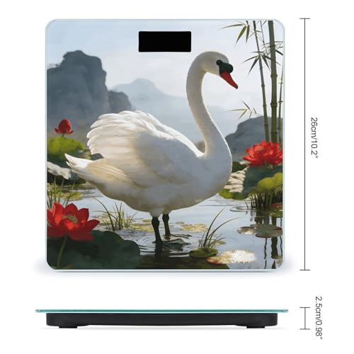 Báscula digital para baño Lutang White Feather 180kg miniatura 2