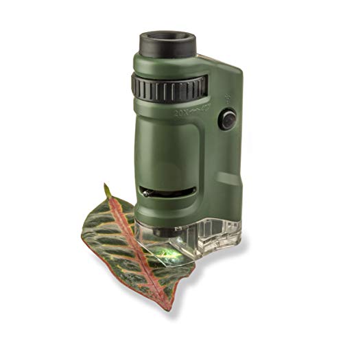 Carson Microbrite 20X-40X Led Lighted Pocket Microscope For Learning, Education And Exploring (Mm-24) #TOP5