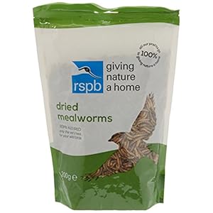 RSPB Dried Mealworms 200g Wild bird Food, supporting RSPB Charity, meal worm, Re-sealable & recyclable pouches, for use…
