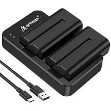 Artman NP-F550 Battery 2-Pack 2900mAh and USB Dual Charger for Sony NP F550 F570 F530 F330 F970 F960 F950 F930 F770 F750, CCD-SC55, TR516 TR716 TR818 TR910 TR917, LED Lights, Monitors, Camera Sliders