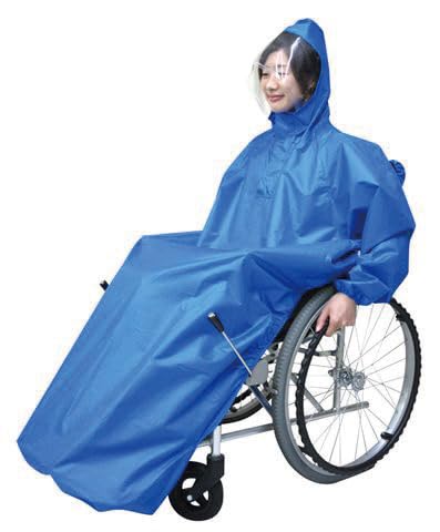 ԂC ͂ ԂpCR[g pi ړ