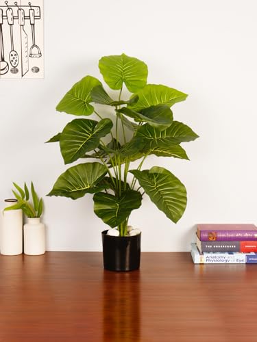 Image of ARICK DECOR Artificial Dieffenbachia Plant |Big Ornamental Plant Artificial Plant for Interior Decor /Home Decor /Office Decor|18 Leaves with Basic Black Pot (Green-AD-C)