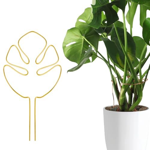 Amazon | 【Charming Club】園芸支柱 モンステラ 支柱 観葉植物