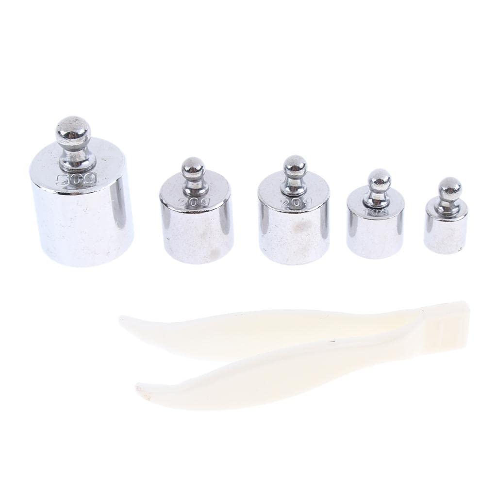 LOOM TREE® 100g Precision Calibration Weights Sets 50g 2x20g 10g 5g with Tweezers | Healthcare Lab & Life Science | Lab Equipment | Lab Scales & Balances | Weights & Calibration Sets