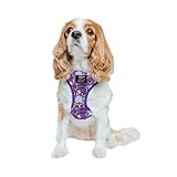 Sassy Woof Dog Adjustable Harness - Mojo JoJoâ„¢ - S, Breathable Mesh, No Pull Design with Two D-Rings, Patented Design, Perfect for Small Dogs and Puppies - Offcially Licensed