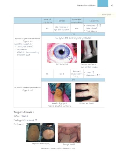 Image of Marrow Rapid Revision edition 8,ALL 19 SUBJECTS SET,FULL COLOR PRINTED NOTES WITH SPIRAL BOUND,2025=2026