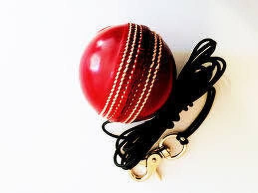 YMD Leather Cricket Hanging Ball for Shot Practice LI30 Cricket Training Ball (Pack of 1)-picture-32