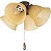 Progress Lighting P2643-20T AirPro 4-Light Ceiling Fan Light, Antique Bronze