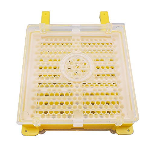 SHANG-JUN Fait à la Main Bee incubateur Apiculture Tool Kit Reine Cellule complète Reine Kit Apiculture Se cabrer Système Se cabrer Boîte Kit Reine Se cabrer d'élevage Durable