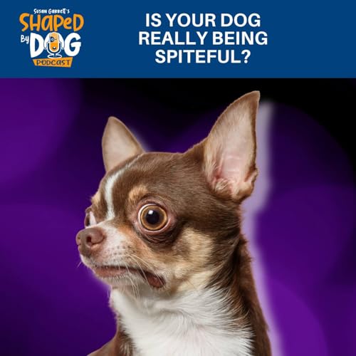 Is Your Dog Really Being Spiteful? #321