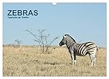 Cebras en África Autor(es): Thomas Krebs