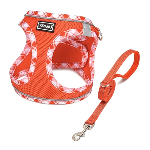 DORAMIO Hundegeschirr Kleine Hunde mit Leine, Step-in Geschirr Reflektierend Atmungsaktiv Brustgeschirr Anti Zug Sicherheitsgeschirr Katzengeschirr für Kleine Hunde, Katzen (Mandarine, XL)