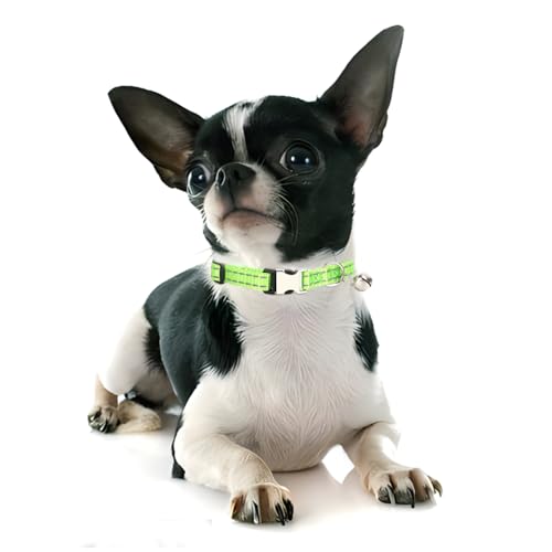 Collar reflectante XS para perro y gato con campana y hebilla miniatura 2