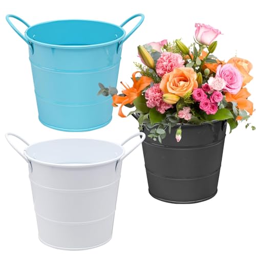 Mudoulu Set de 3 Mini Cubos de Metal Vintage con Asa, Macetas Decorativas para Flores, Hierbas o Plantas, Cubos Resistentes Antióxido para Jardín, Balcón y Decoración de Mesa