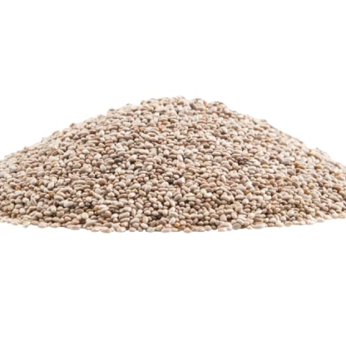 Gerbs Raw White Chia Seeds 2 lbs.