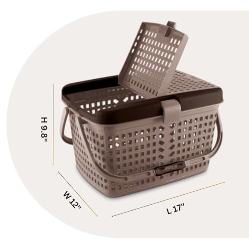Image of FLAIR Dual Compartment Storage Basket Set of 2 - Sturdy Plastic Organizer with Handles & Lid | Plastic Multipurpose Trendy Shopping Big Basket | Ideal for Kitchen, Bathroom, Laundry & Toys (Beige)