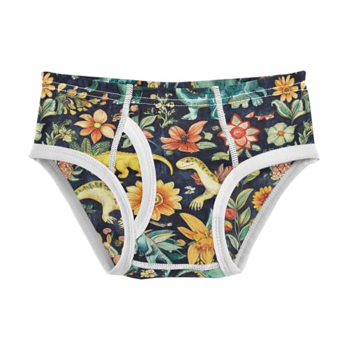 Wusikd Colorful Dinosaurs Boys' Underwear Cotton Flowers Boys Briefs Soft Toddler Underwear 2T