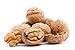 Raw California Walnuts In Shell – 4 lbs -Premium Quality Whole & Unsalted Walnuts By We Got Nuts – Natural Healthy Snack For The Whole Family – Oil-Free & Diet-Friendly Flavor – Air-Tight Resealable Bag Package
