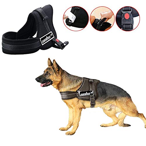 Best Unho Harness For Dogs