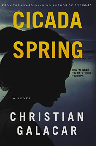 Cicada Spring view 2