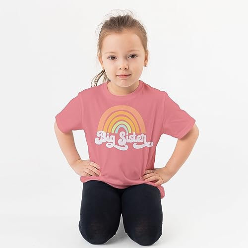 Big Sister Rainbow Big Sister Sibling Reveal Announcement Shirt for Baby and Toddler Girls Sibling Outfits3