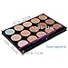 SHANY The Masterpiece 15 Color Foundation, Concealer, Camouflage Palette - TONED