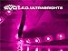 CIPA 93534 EVO Formance LED Ultrabrights Light, 20cm, Fuchsia