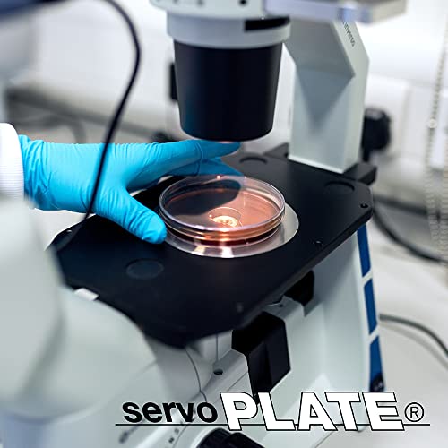 Crecimiento medios Sabouraud 2% glucosa agar en placas preparadas para siembra microbiológica 2