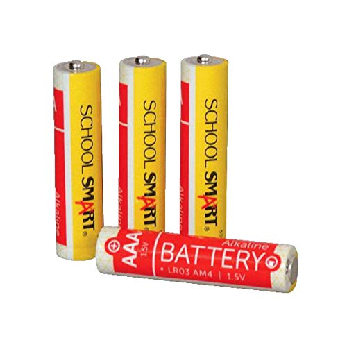 School Smart Alkaline Batteries, AAA, Pack of 48