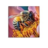 Poster mit Tierinsekten, Sulawesi-Biene, dekorative Leinwand, Wand- und Kunstposter, 50 x 50 cm