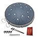 YoungMonic Rain Drum for Outside 13 Inches 15 Notes C Major Steel Tongue Drum Percussion Instrument with Mallets Music Book and Bag