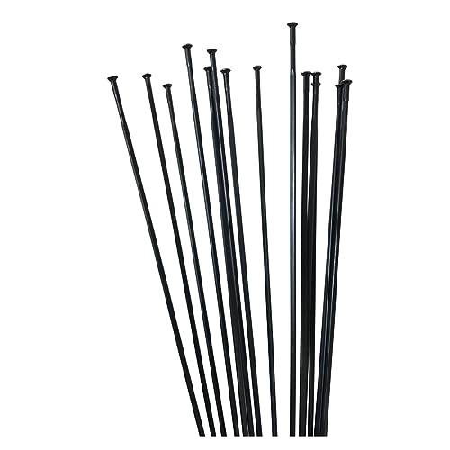 Rayon de vélo plat 14G en acier inoxydable pour roues de course robustes
