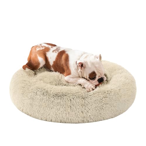 Koeravoodi – kohev, pestav suurus P 80 × L 80 × K 20 cm, värv Ombré khaki (Feandrea)