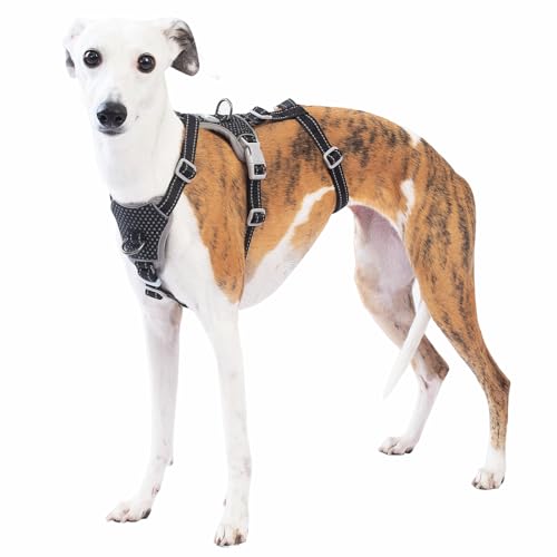 Huntboo Sicherheitsgeschirr Hund Ausbruchsicher, Panikgeschirr für Hunde, Anti Zug Hundegeschirr, Reflektierend, Verstellbare, Leichte Weste für kleine, mittelgroße und große Haustiere (Schwarz,M)